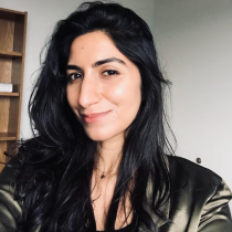 Picture of Dr. Insanally