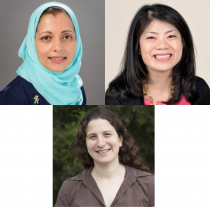 Picture of Dr. Faroqi-Shah, Dr. Huang, and Dr. Feldman