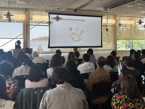 Students and faculty watching a NACS seminar