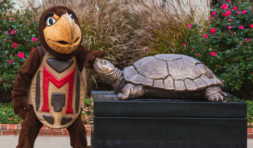 Testudo mascot and statue