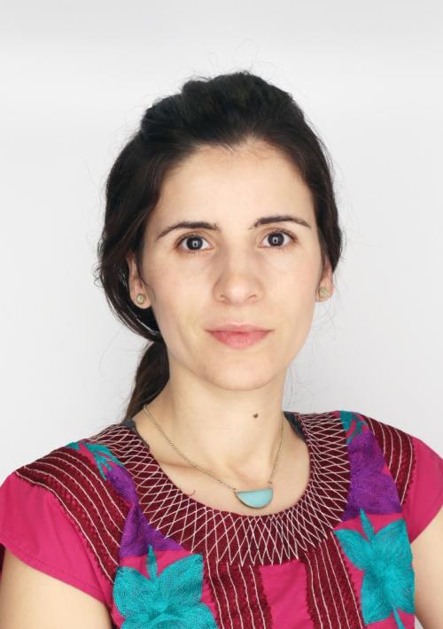 Picture of Dr. Rosenblau