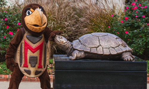 Testudo mascot and statue